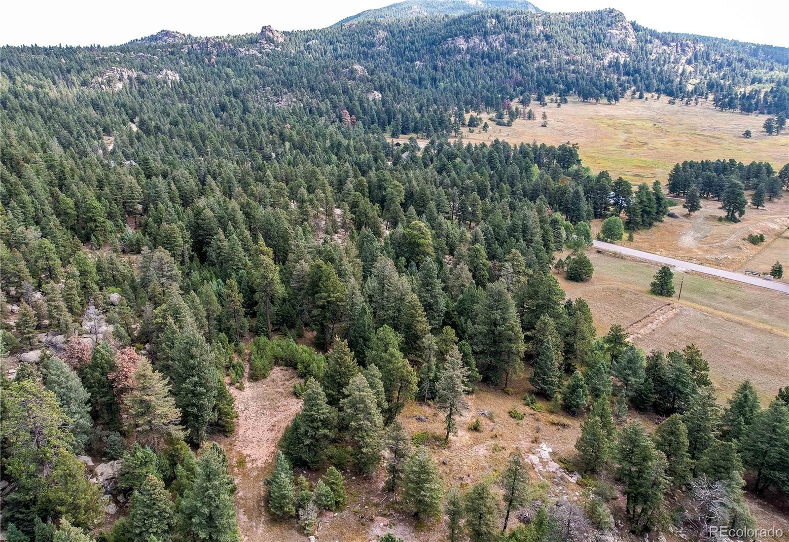 9335 Eagle Cliff Road Conifer CO 80433