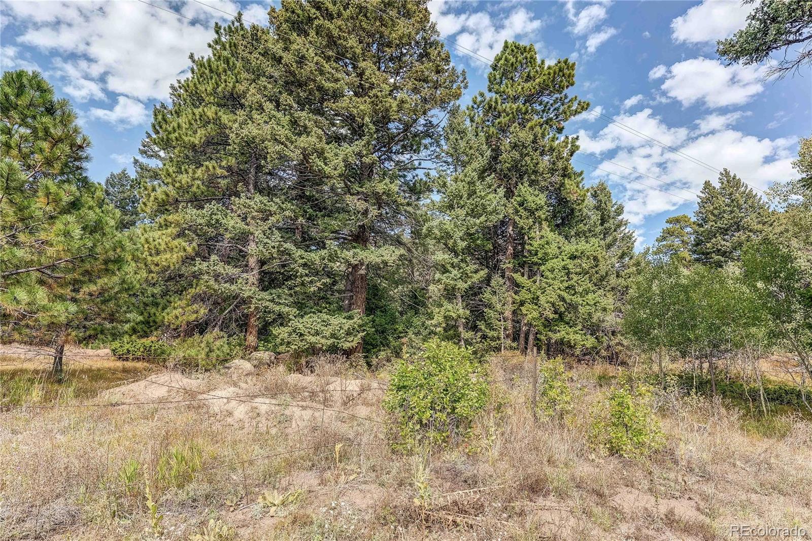 9335 Eagle Cliff Road Conifer CO 80433