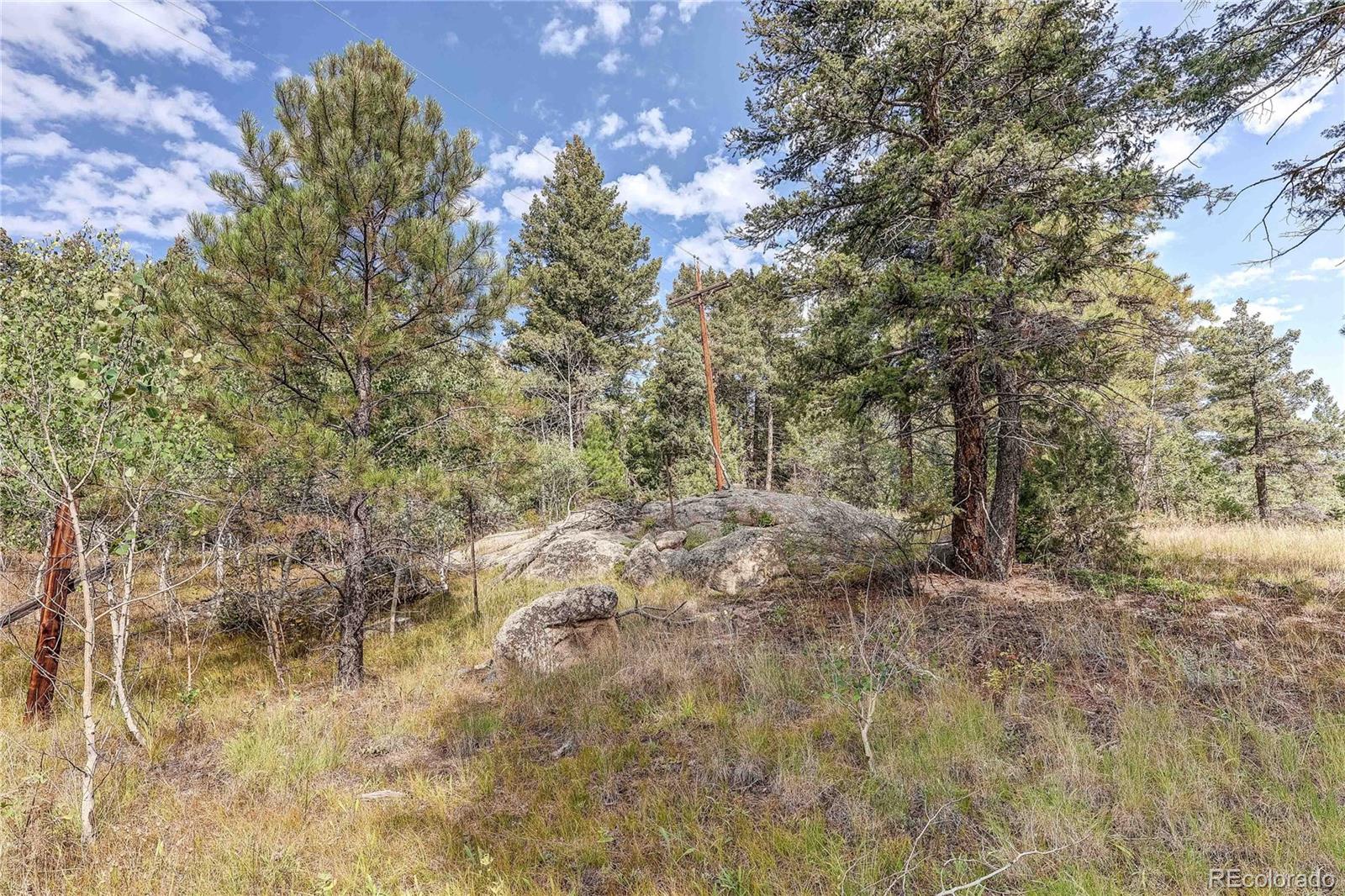 9335 Eagle Cliff Road Conifer CO 80433
