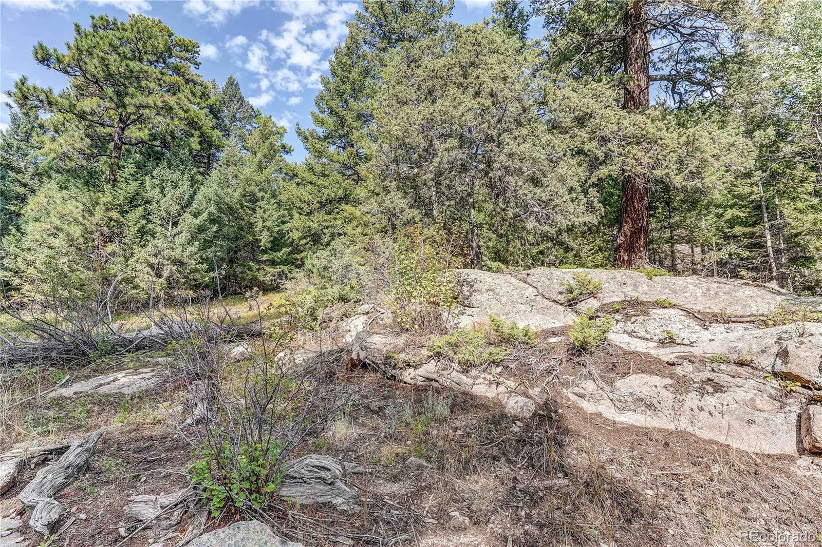 9335 Eagle Cliff Road Conifer CO 80433