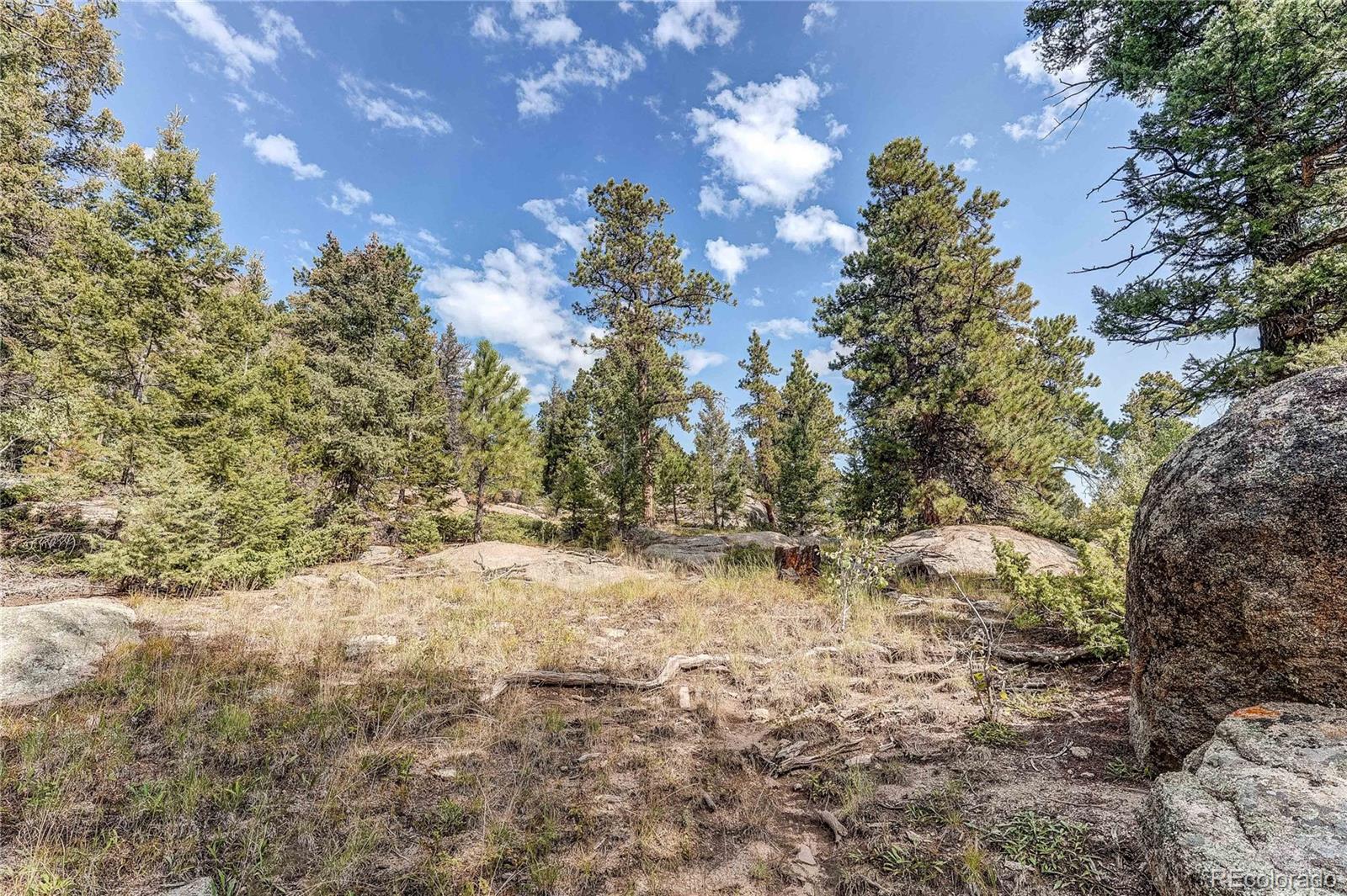 9335 Eagle Cliff Road Conifer CO 80433