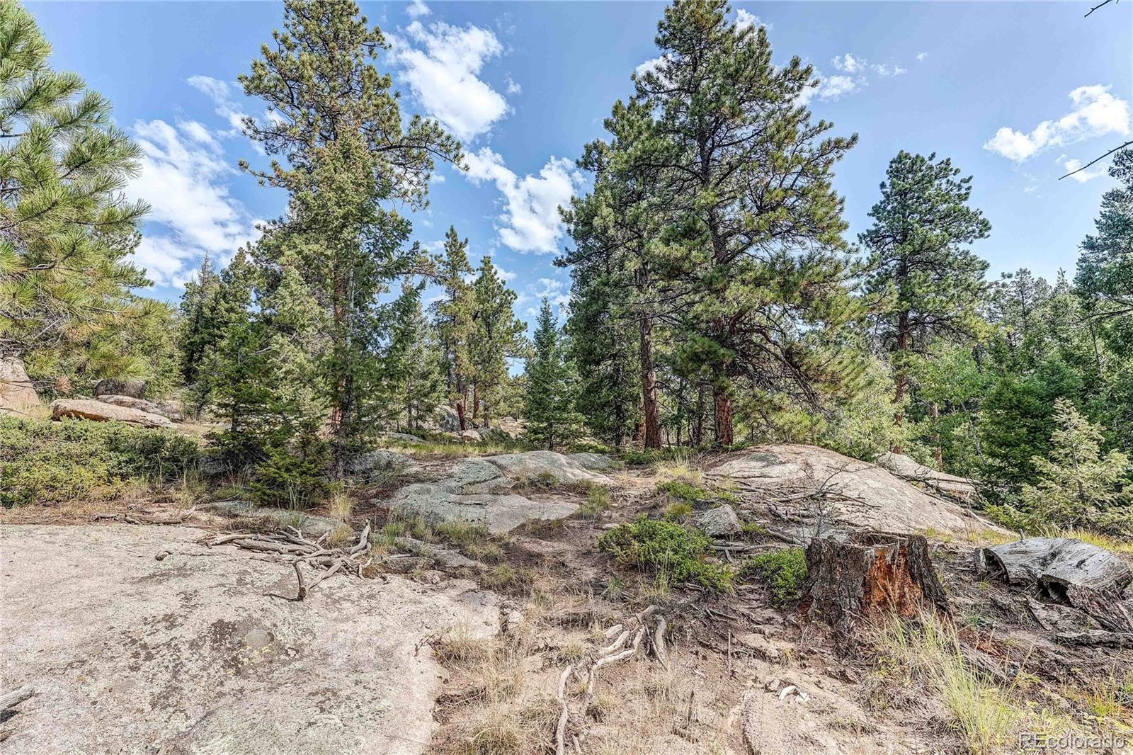9335 Eagle Cliff Road Conifer CO 80433