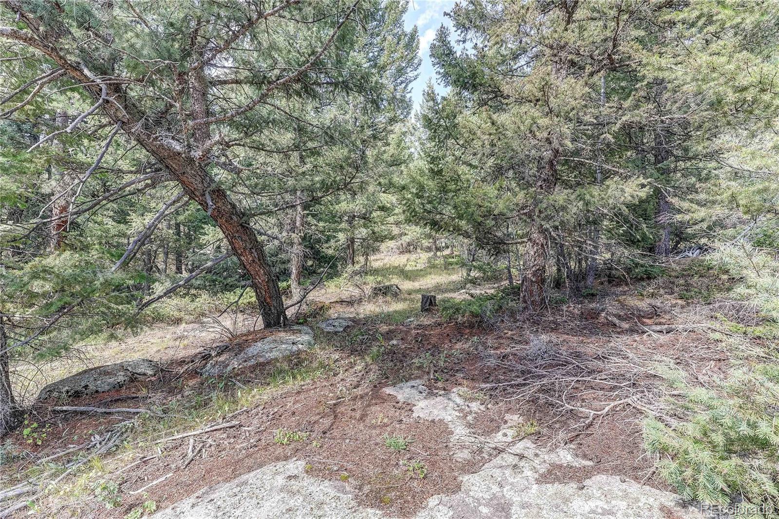 9335 Eagle Cliff Road Conifer CO 80433