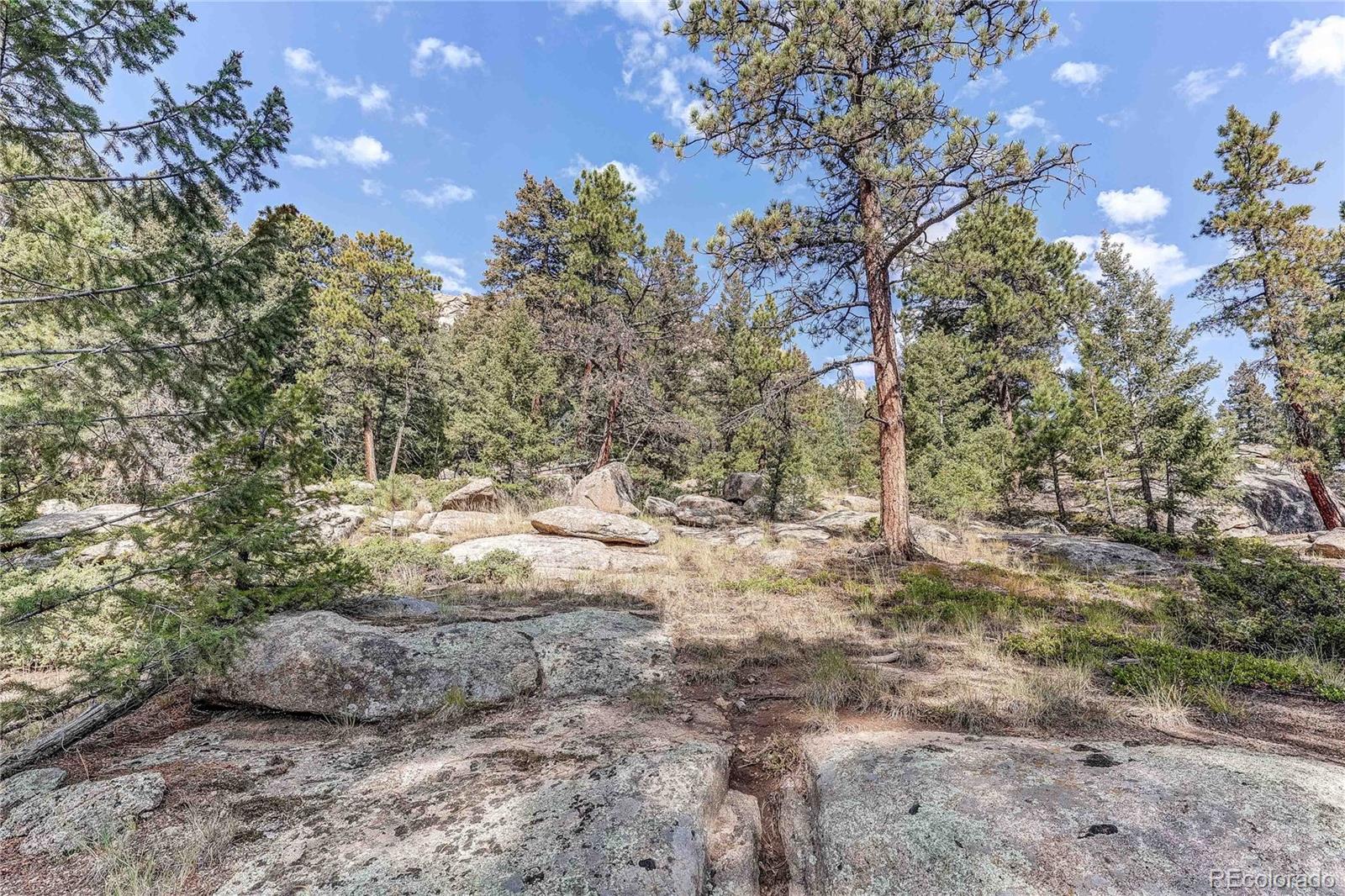 9335 Eagle Cliff Road Conifer CO 80433