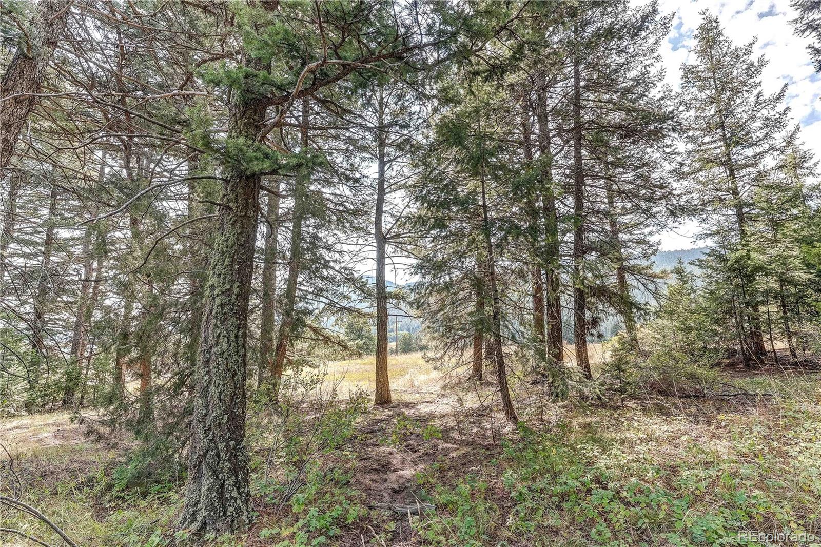 9335 Eagle Cliff Road Conifer CO 80433