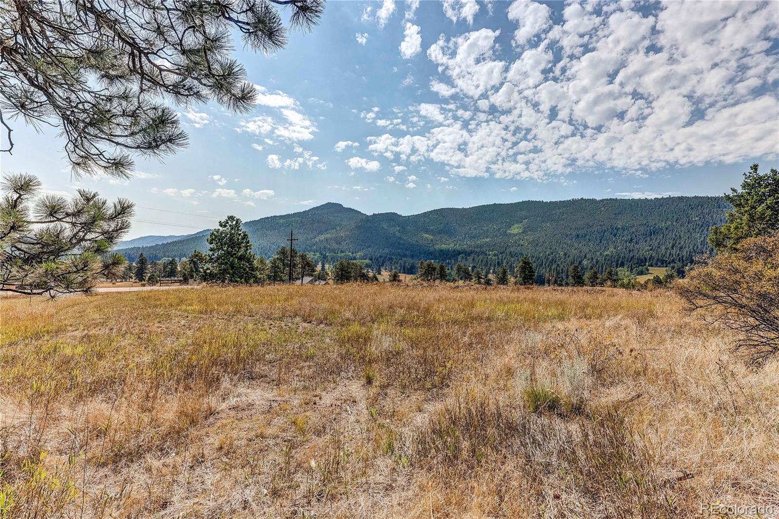 9335 Eagle Cliff Road Conifer CO 80433