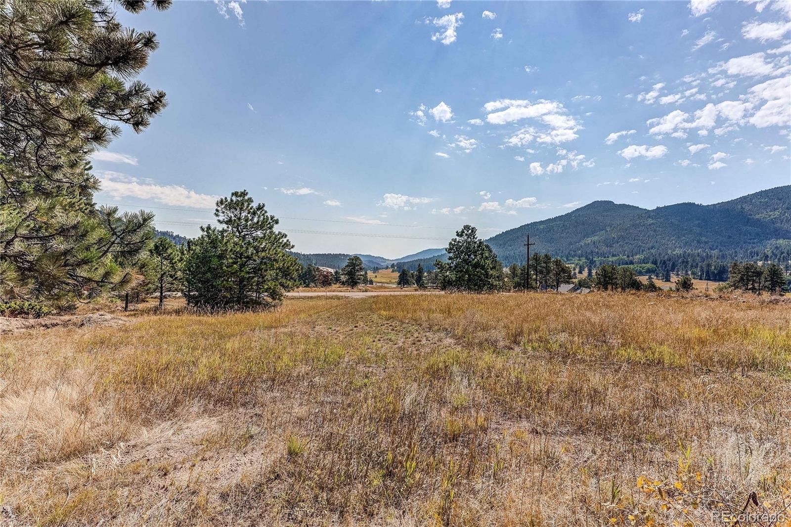 9335 Eagle Cliff Road Conifer CO 80433