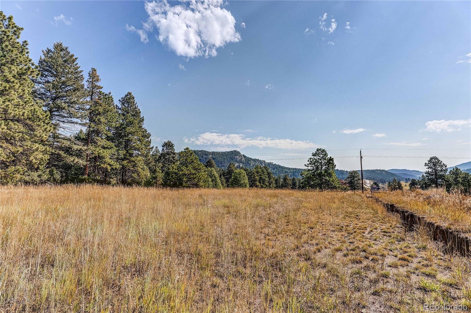 9335 Eagle Cliff Road Conifer CO 80433