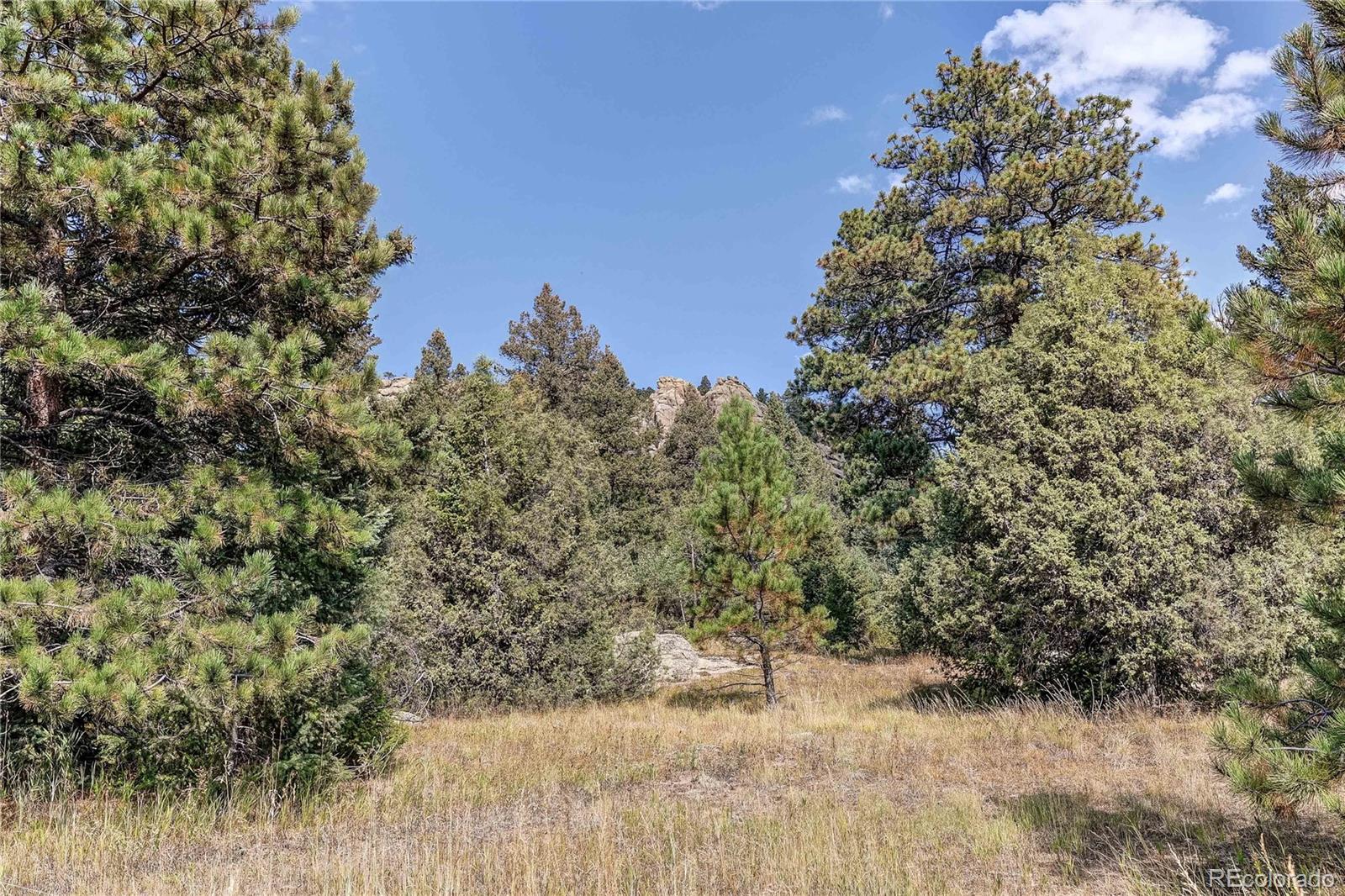 9335 Eagle Cliff Road Conifer CO 80433