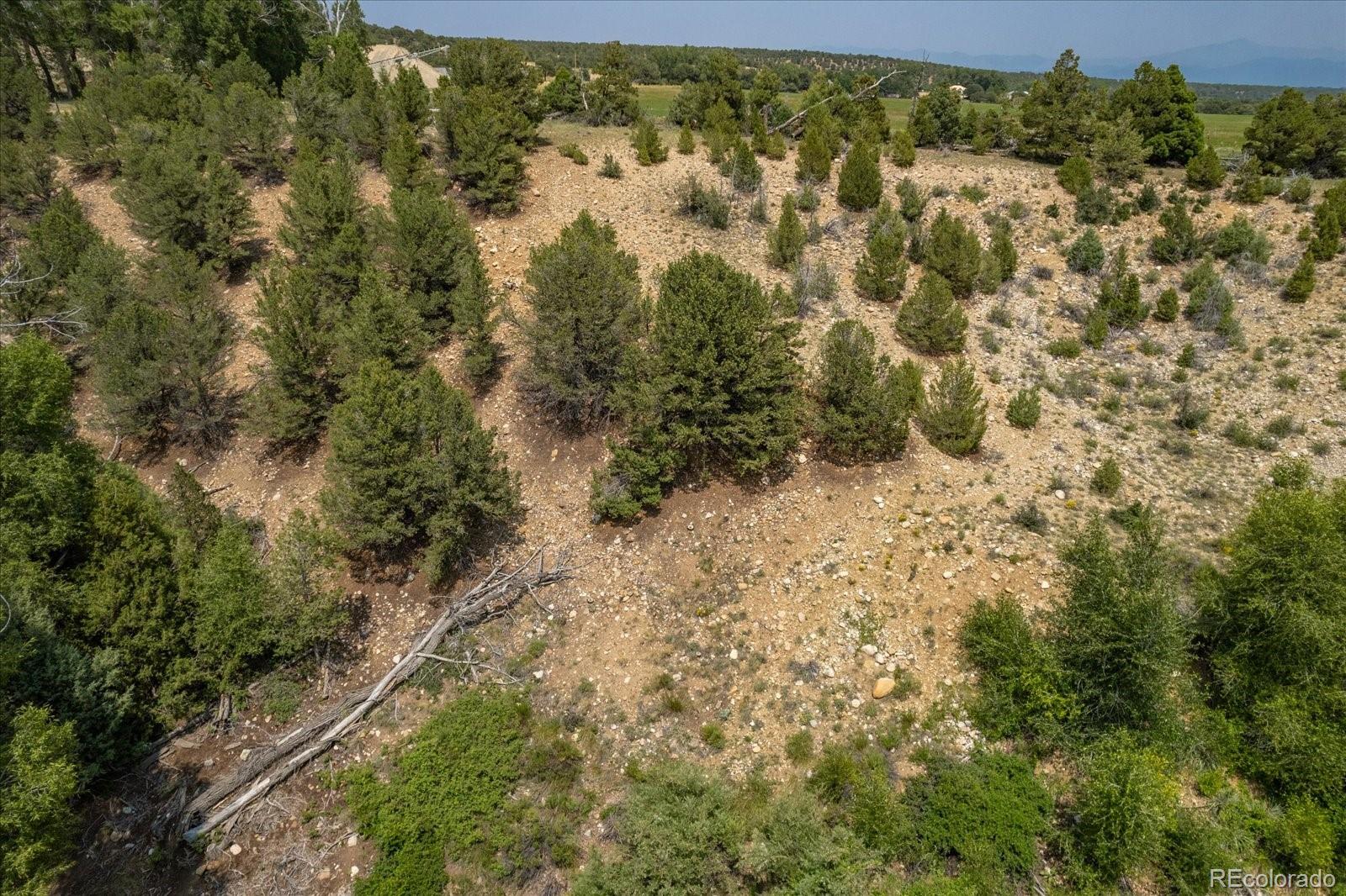 7920 Cozart Lane Salida CO 81201