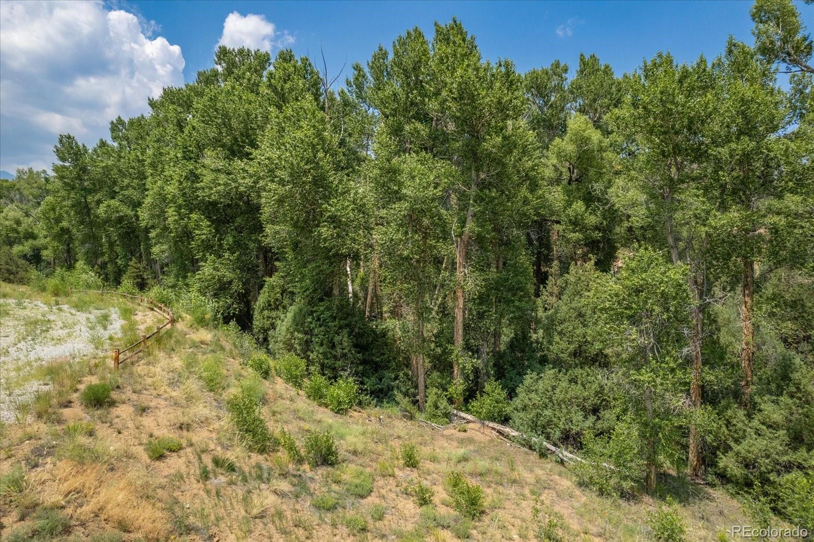 7920 Cozart Lane Salida CO 81201