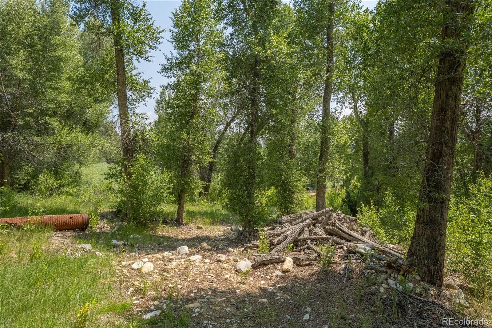 7920 Cozart Lane Salida CO 81201