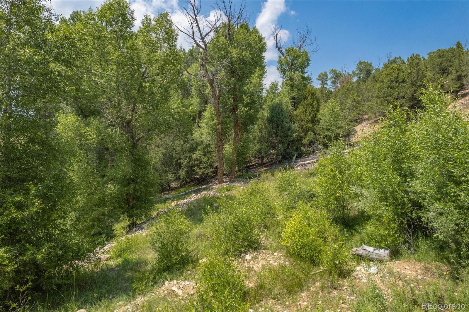 7920 Cozart Lane Salida CO 81201