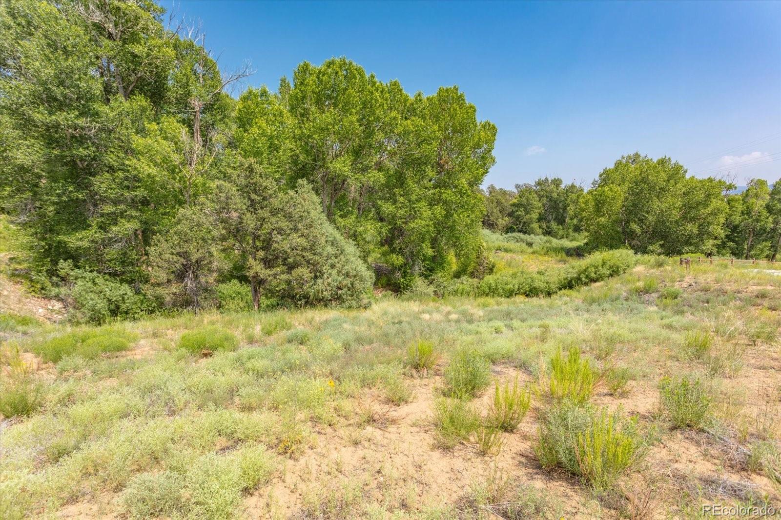 7920 Cozart Lane Salida CO 81201