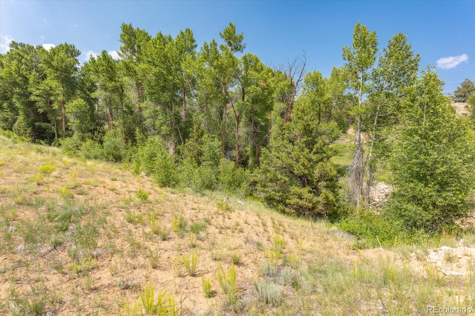 7920 Cozart Lane Salida CO 81201