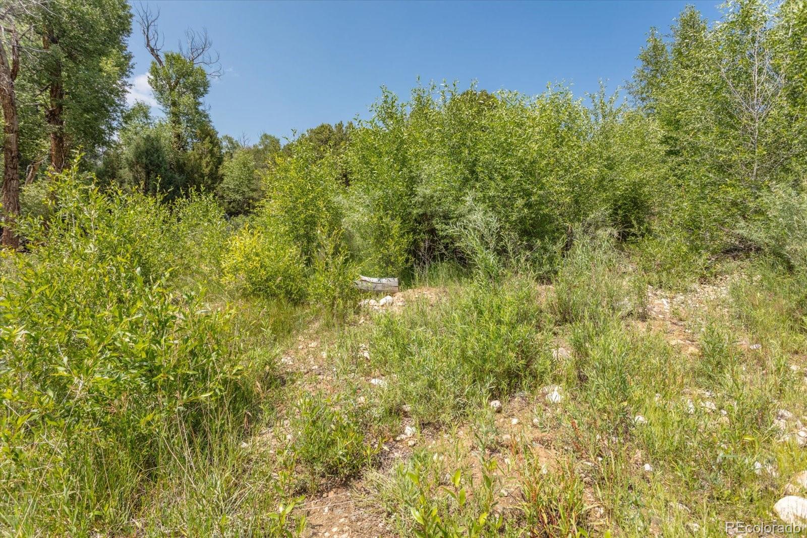 7920 Cozart Lane Salida CO 81201