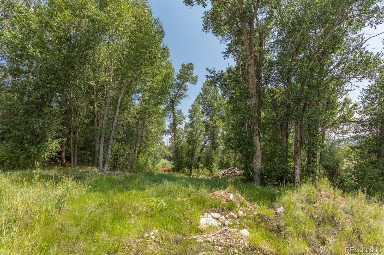 7920 Cozart Lane Salida CO 81201