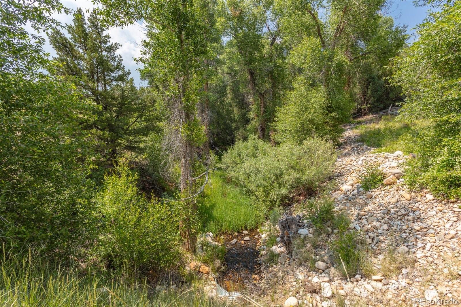 7920 Cozart Lane Salida CO 81201