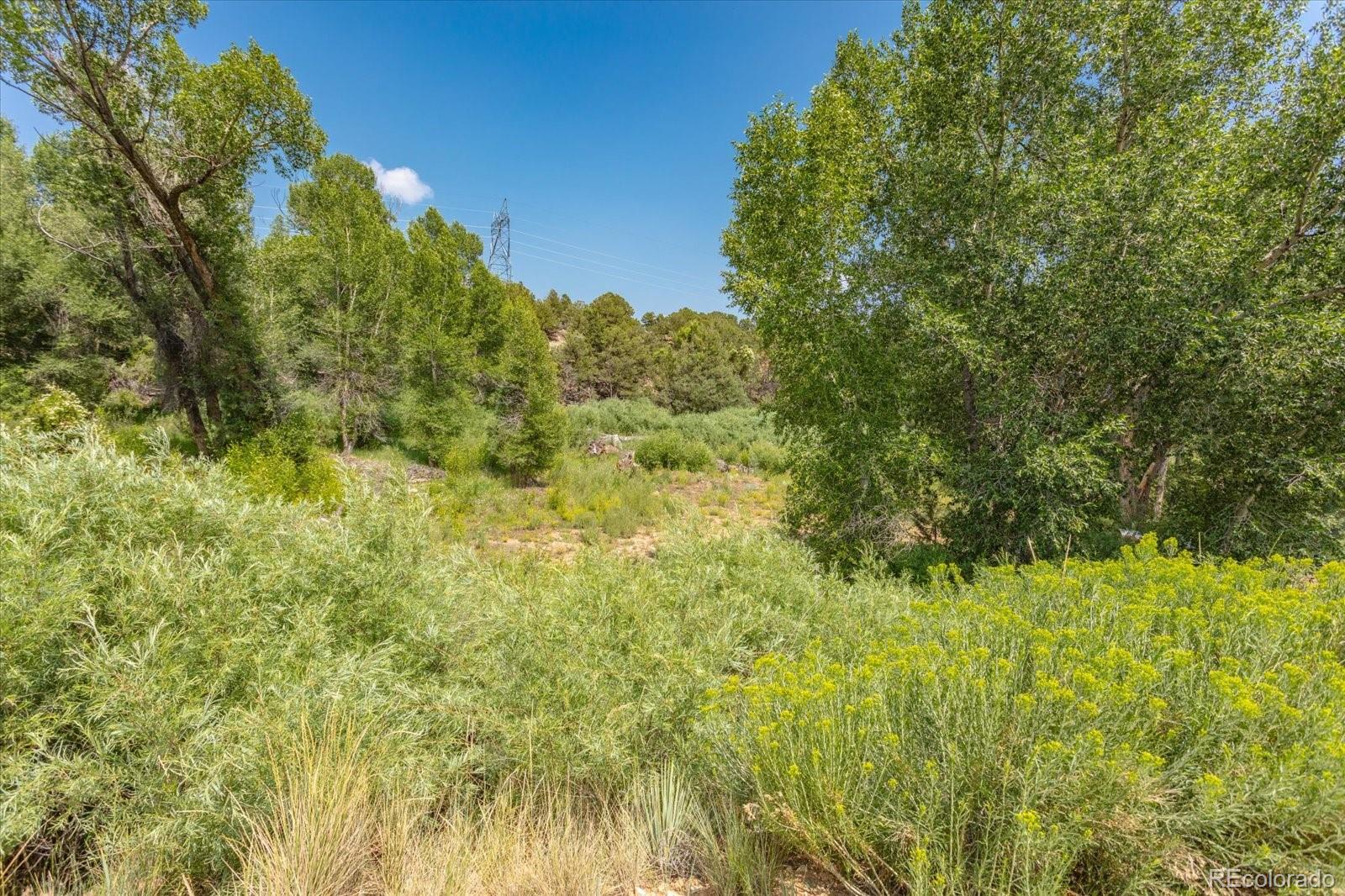 7920 Cozart Lane Salida CO 81201