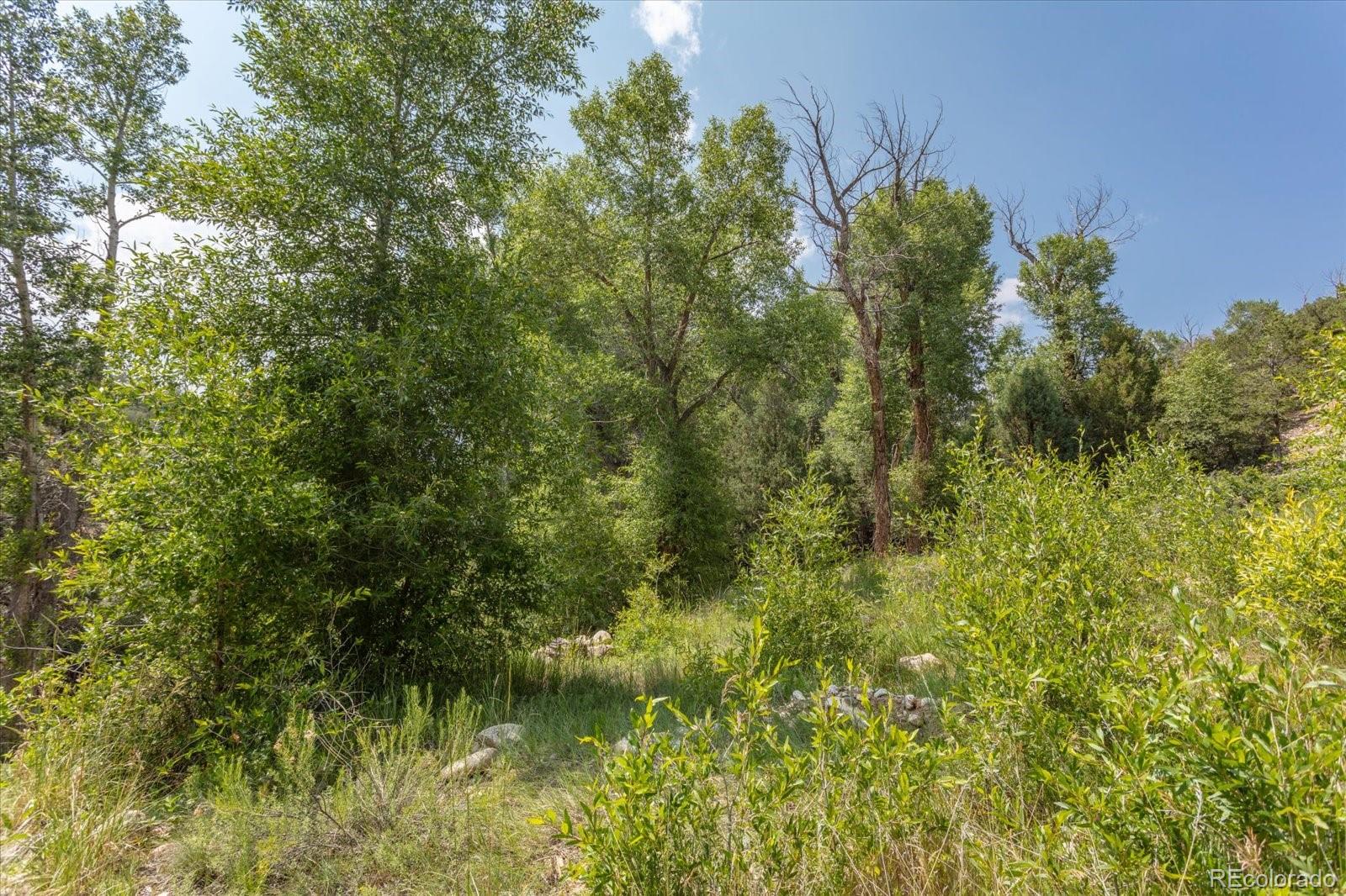 7920 Cozart Lane Salida CO 81201