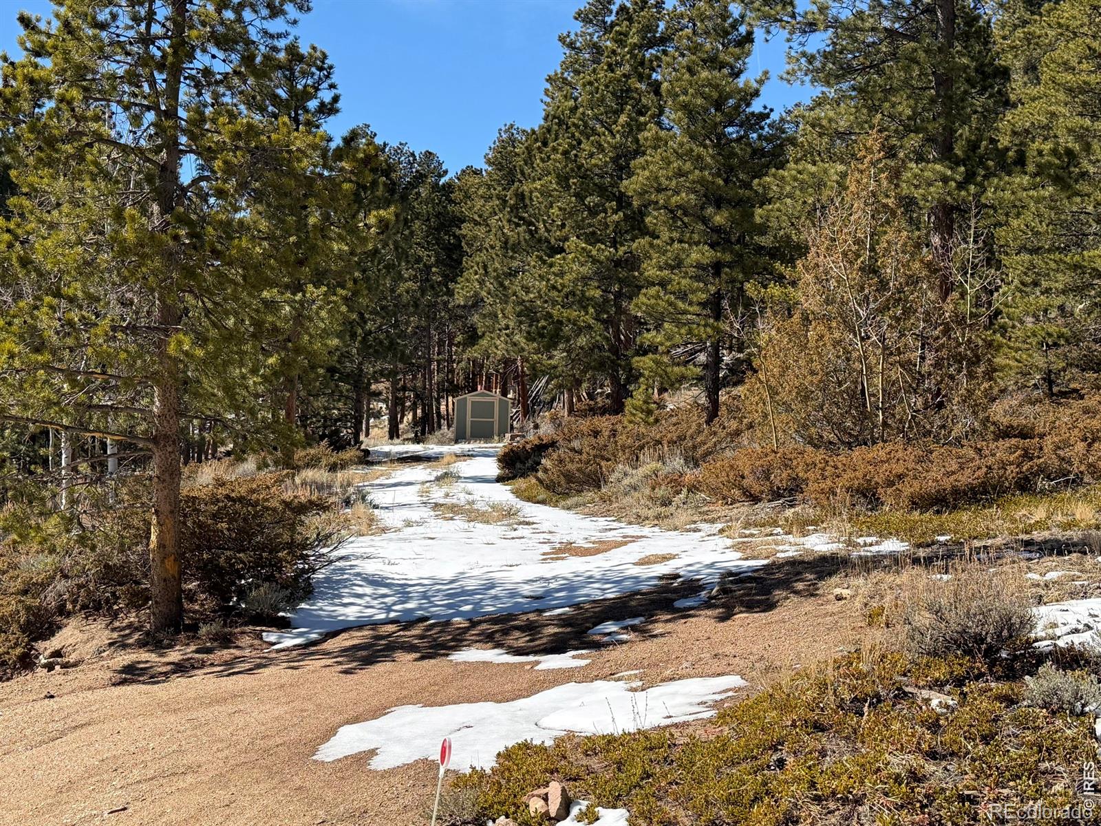 711 Osage Trail Red Feather Lakes CO 80545
