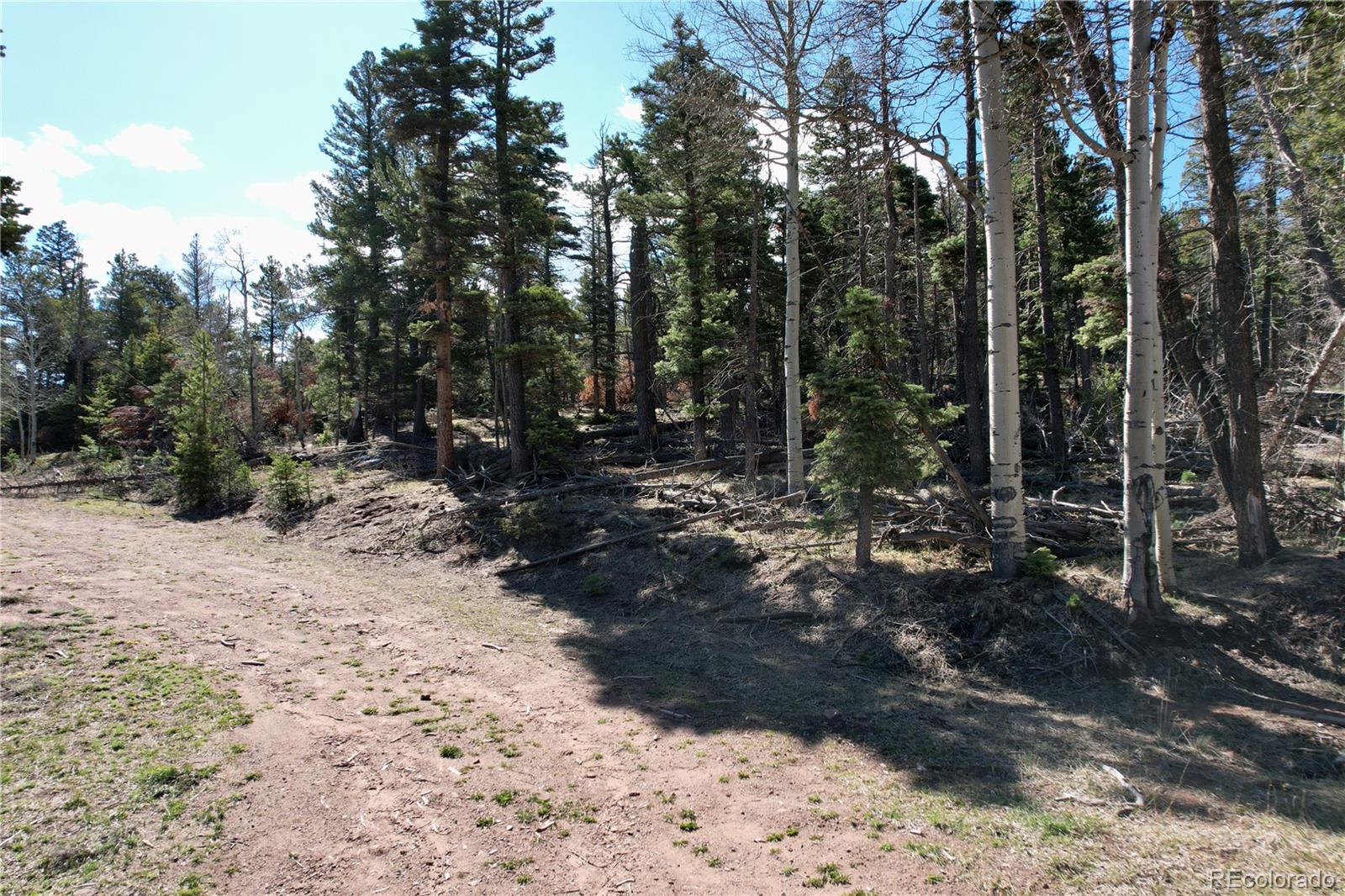 2966 Kemper Loop Fort Garland CO 81133