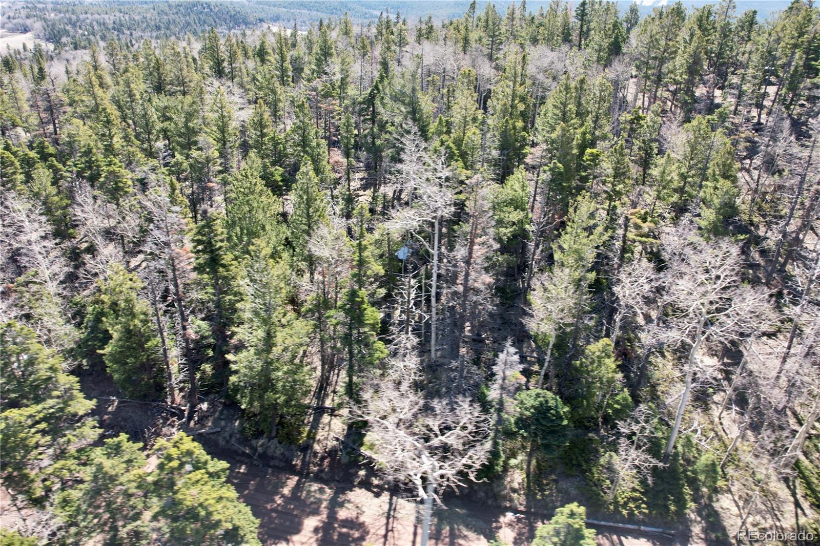 2966 Kemper Loop Fort Garland CO 81133