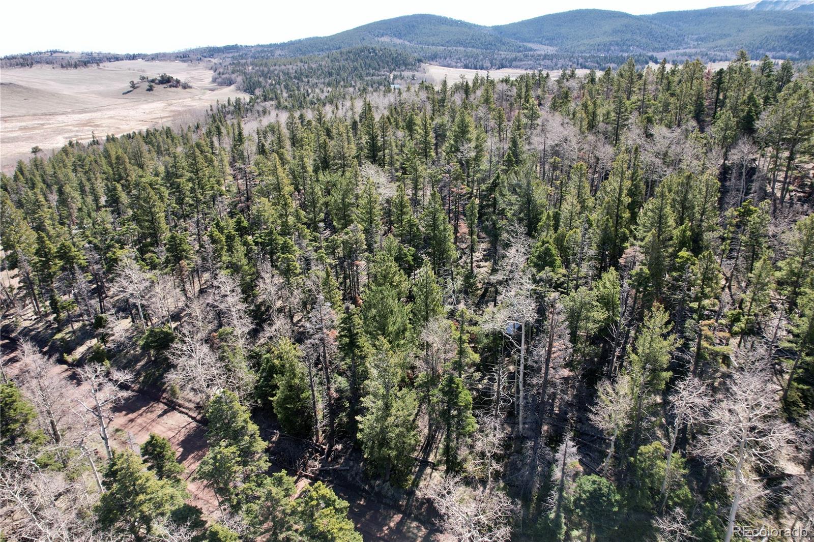 2966 Kemper Loop Fort Garland CO 81133