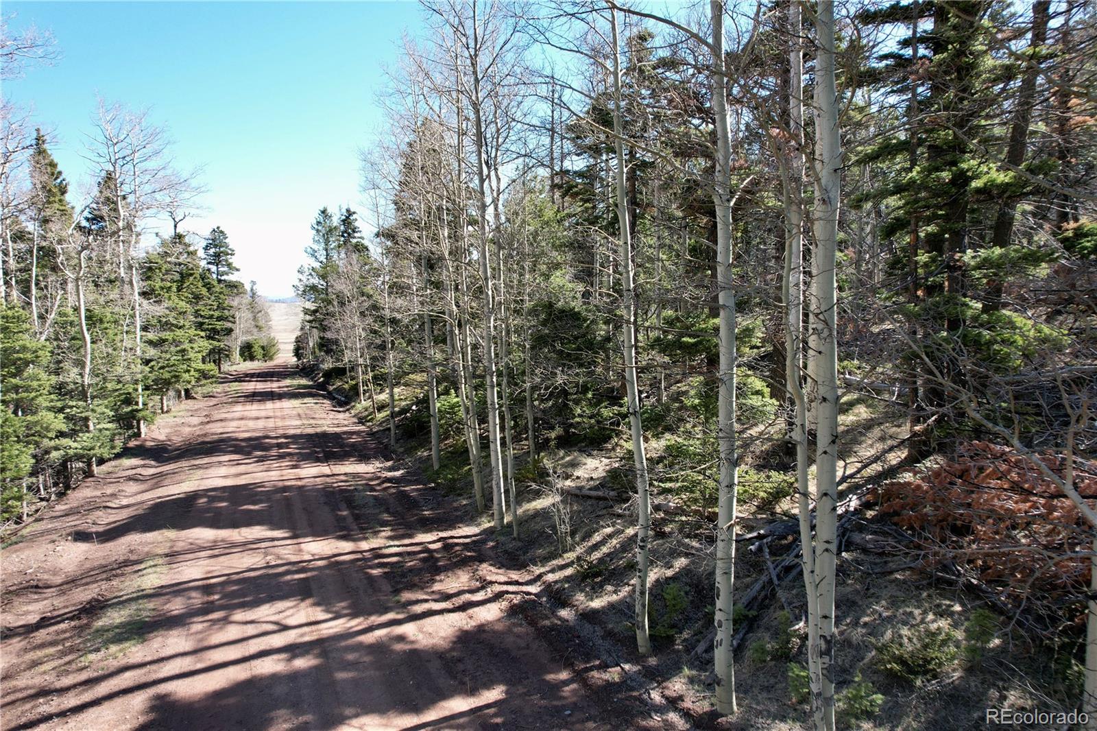 2966 Kemper Loop Fort Garland CO 81133