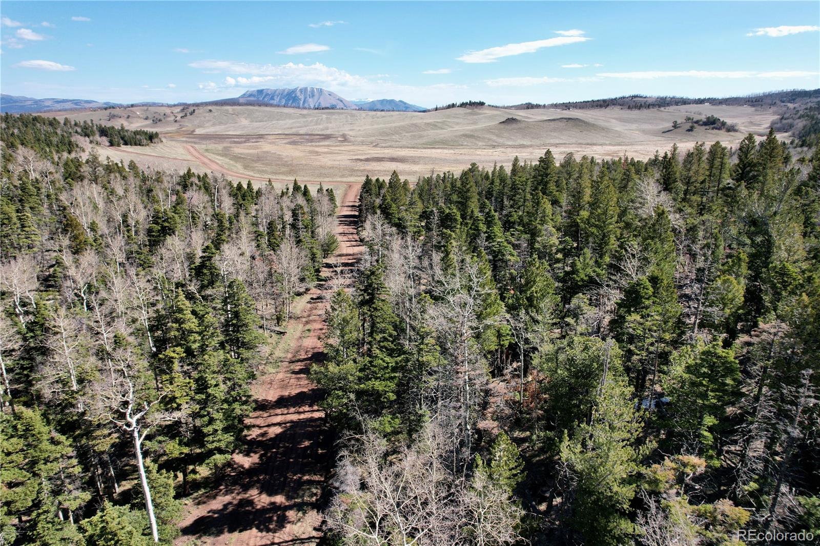 2966 Kemper Loop Fort Garland CO 81133