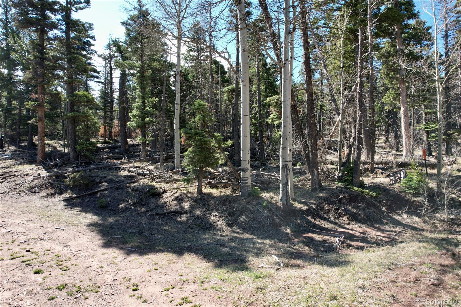 2966 Kemper Loop Fort Garland CO 81133