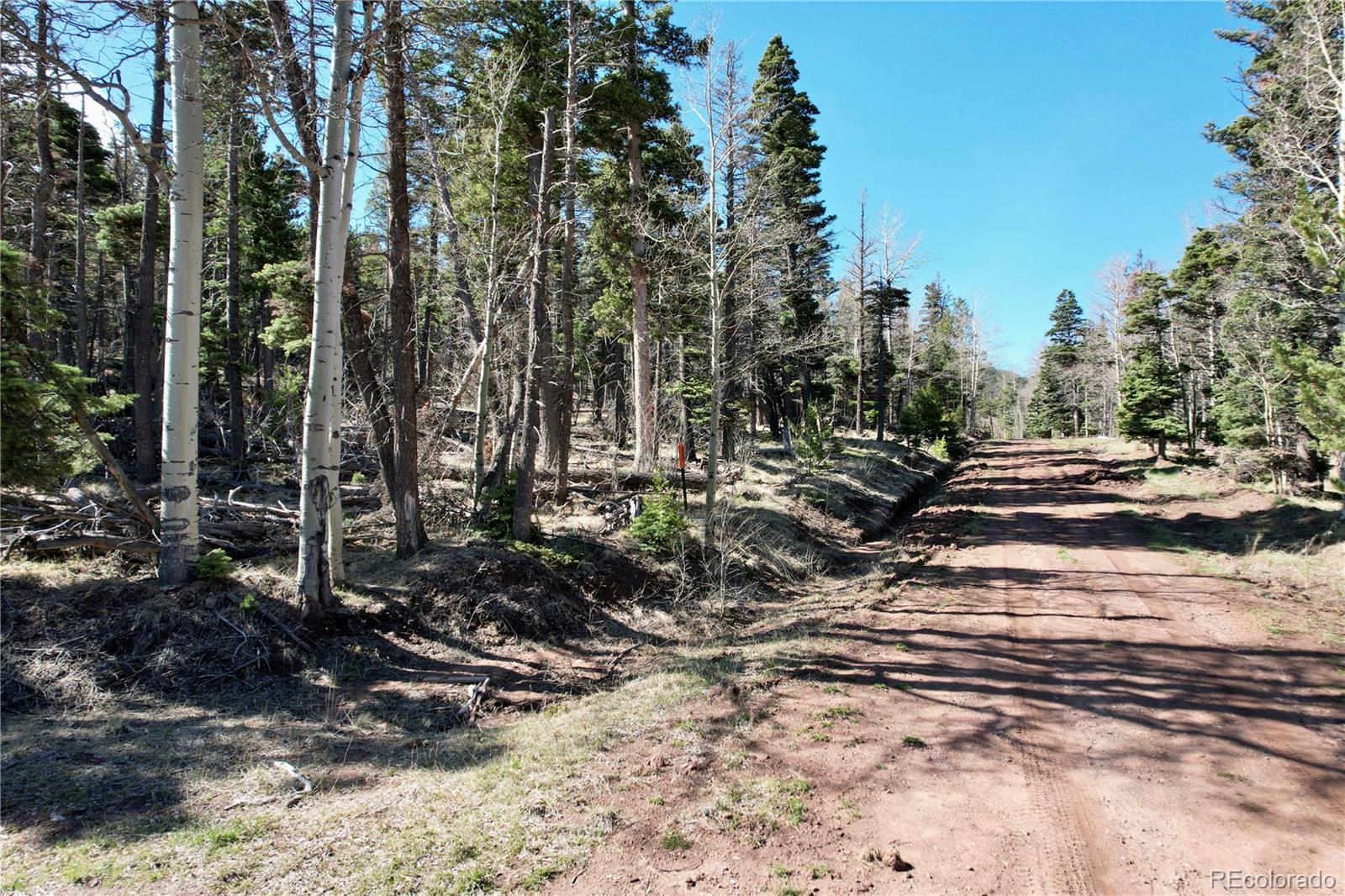 2966 Kemper Loop Fort Garland CO 81133