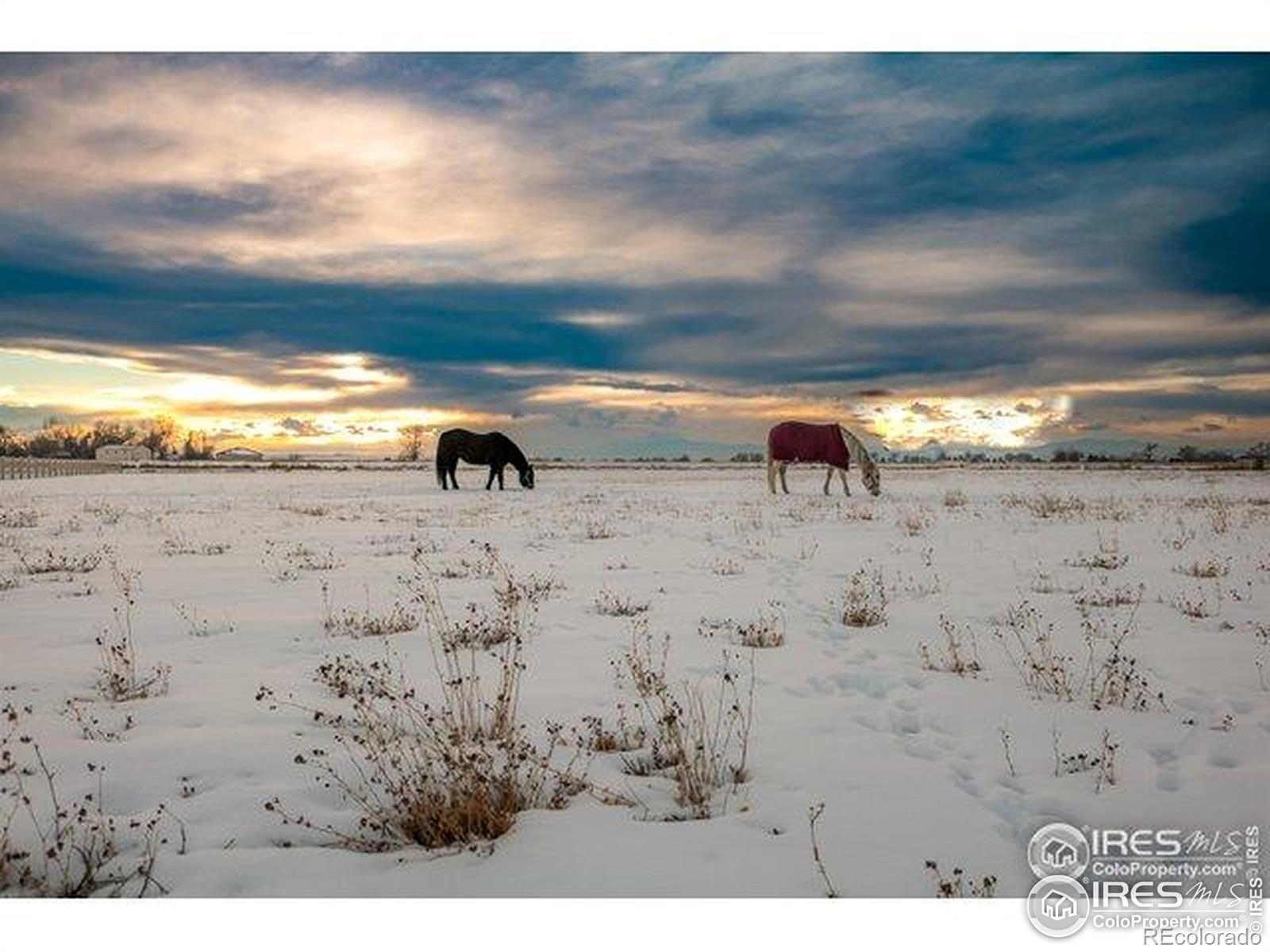 16490 Highway 392 Greeley CO 80631