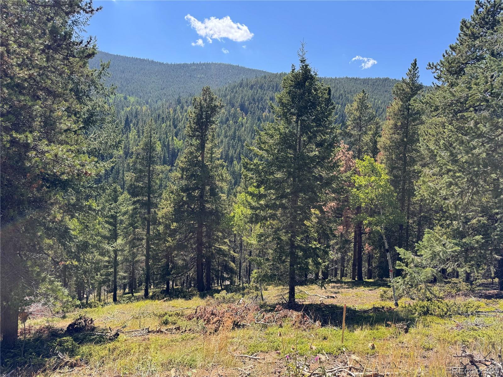 0 Blue Bell Lane Idaho Springs CO 80452