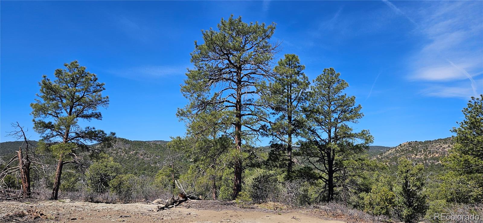 County Road 69.8 Trinidad CO 81082