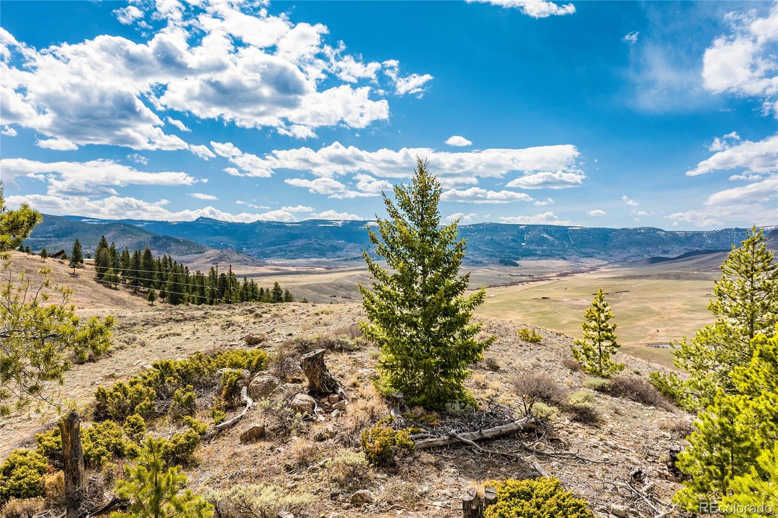 1381 GCR 8952/ten Mile Creek Drive Granby CO 80446