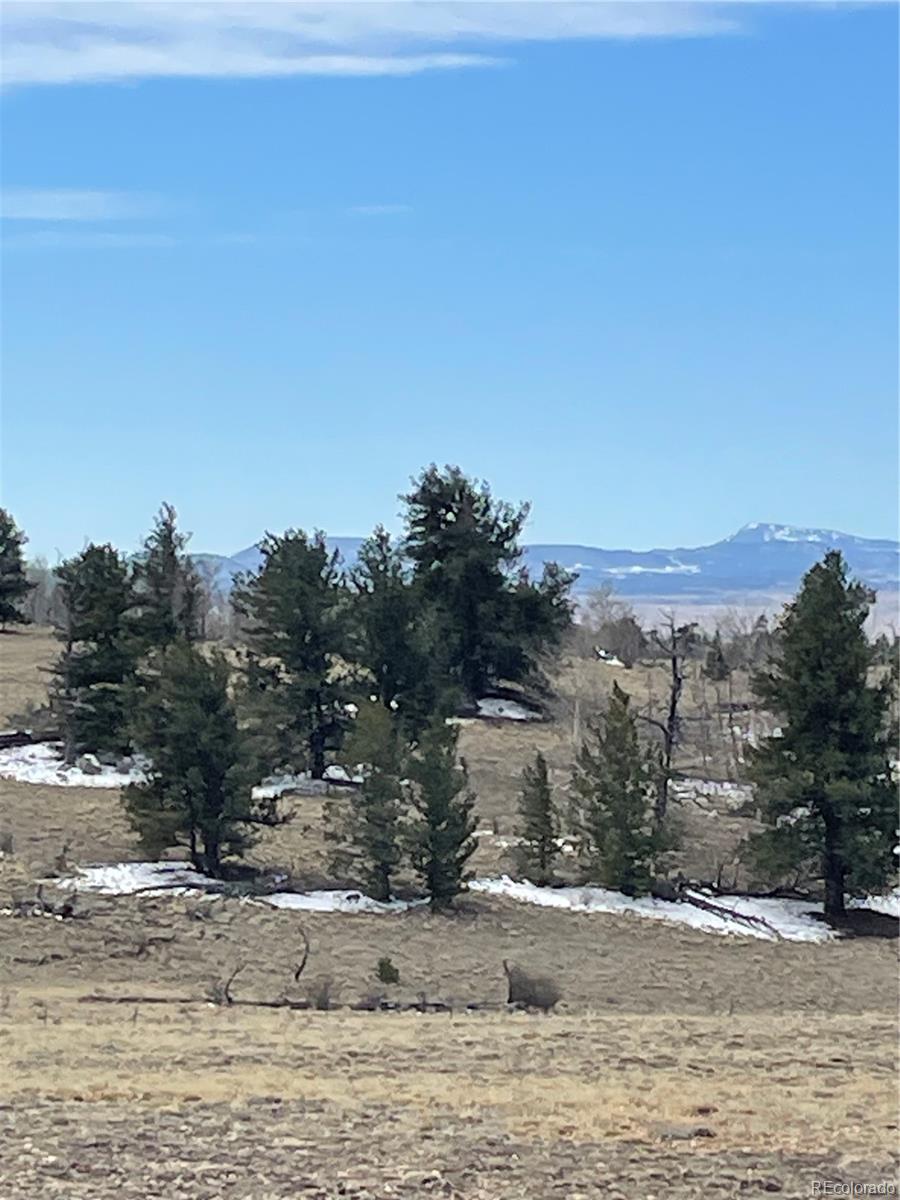 148 Grand Teton Drive Hartsel CO 80449