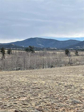 148 Grand Teton Drive Hartsel CO 80449
