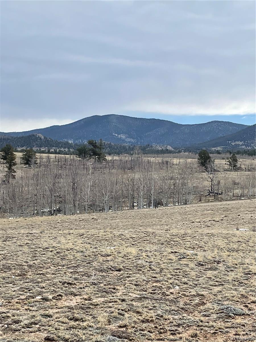 148 Grand Teton Drive Hartsel CO 80449