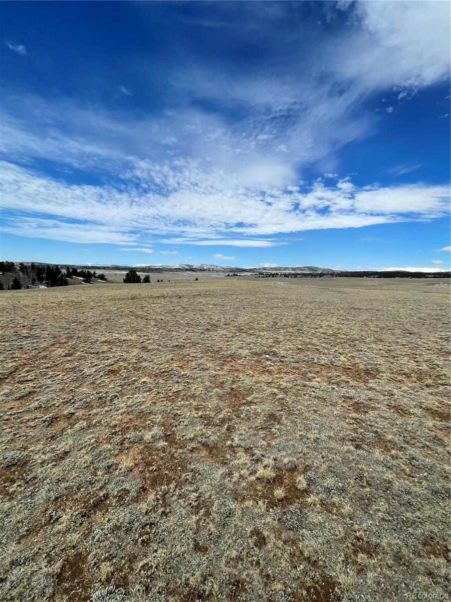 148 Grand Teton Drive Hartsel CO 80449