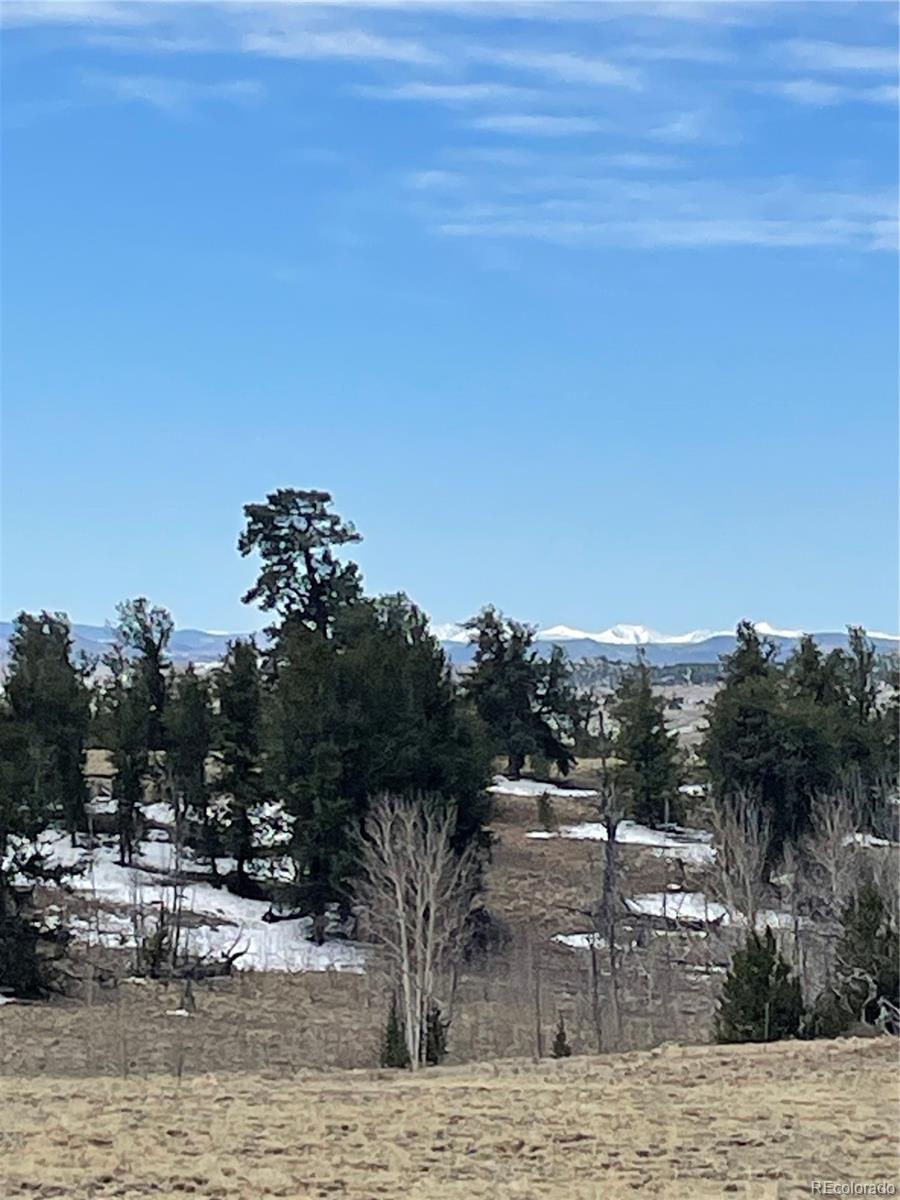 148 Grand Teton Drive Hartsel CO 80449