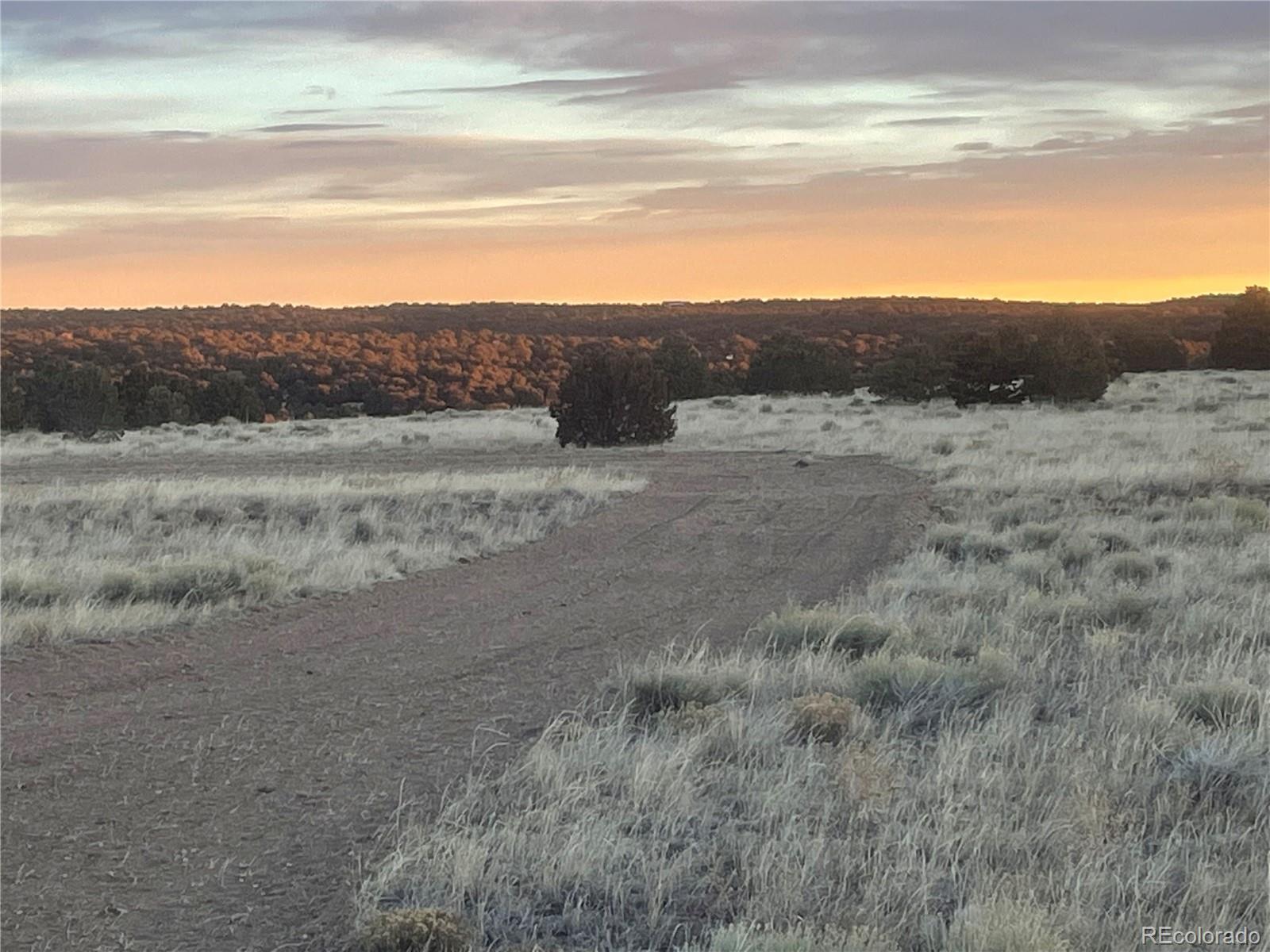 87 Comanche Dr Lot 87 Walsenburg CO 81089