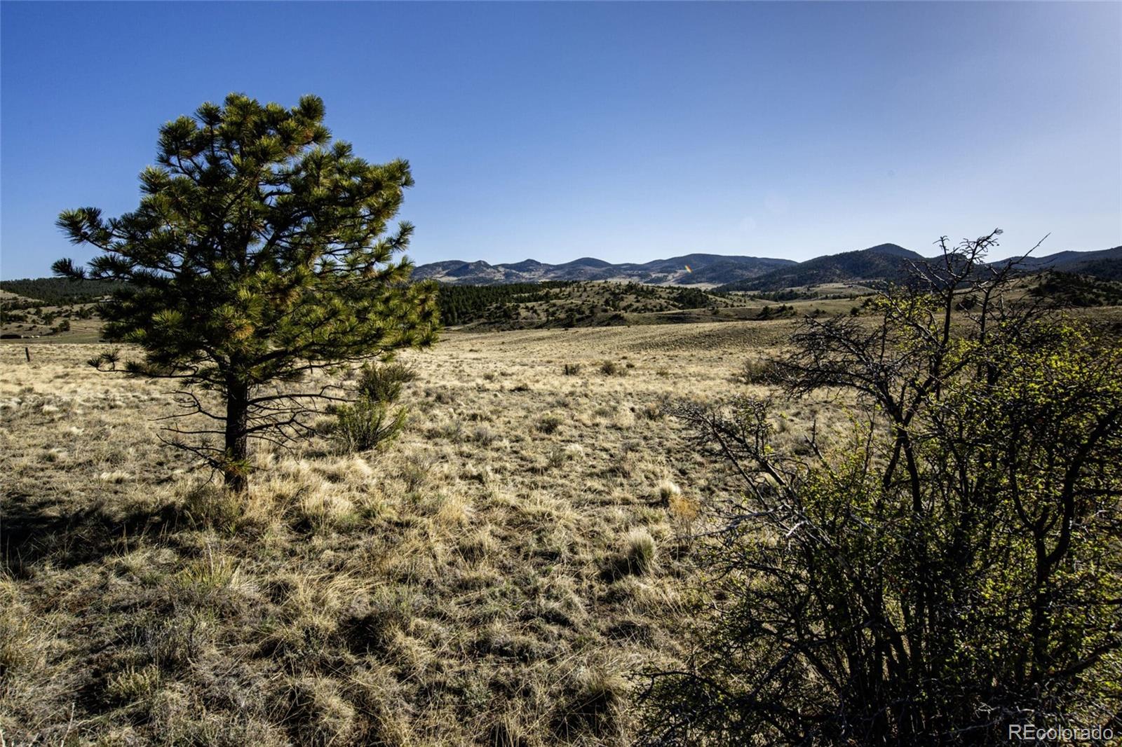 2179 Music Mountain Drive Westcliffe CO 81252