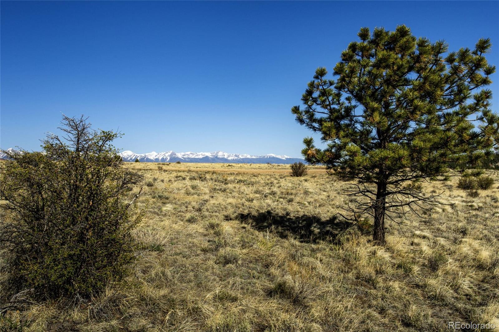 2179 Music Mountain Drive Westcliffe CO 81252