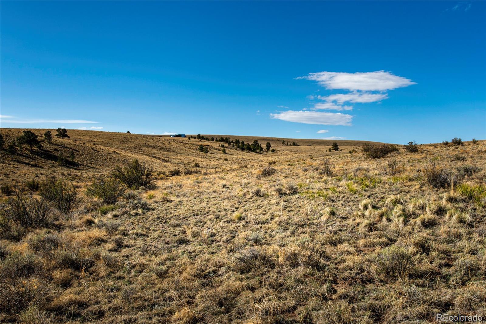 2179 Music Mountain Drive Westcliffe CO 81252