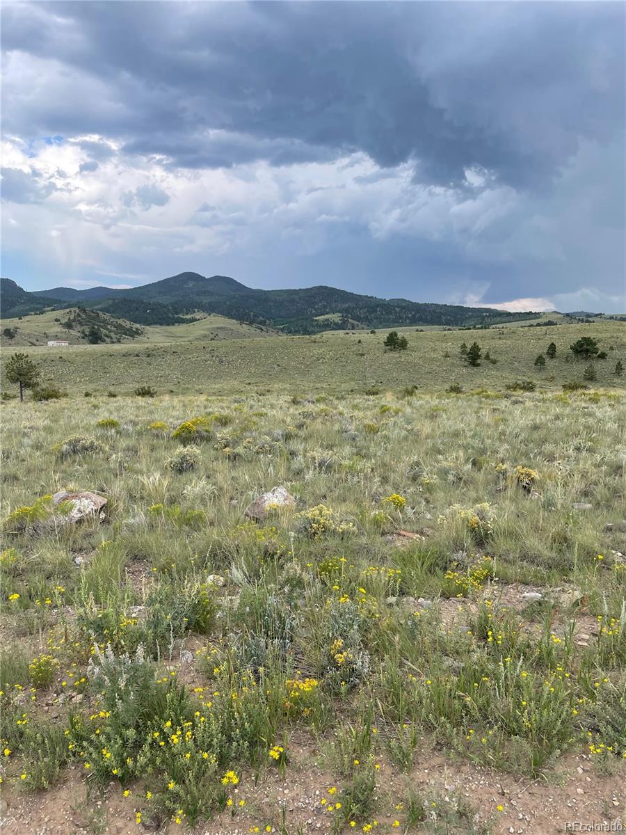 2179 Music Mountain Drive Westcliffe CO 81252