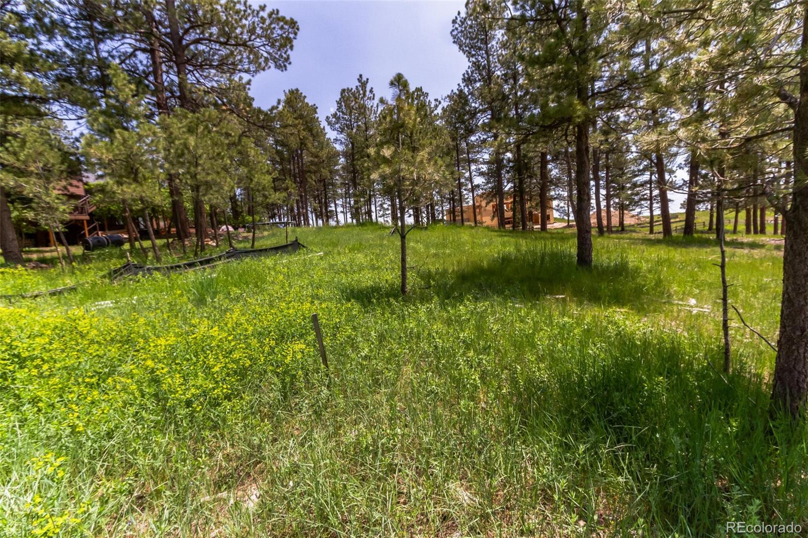 9708 Elizabeth Street Parker CO 80134