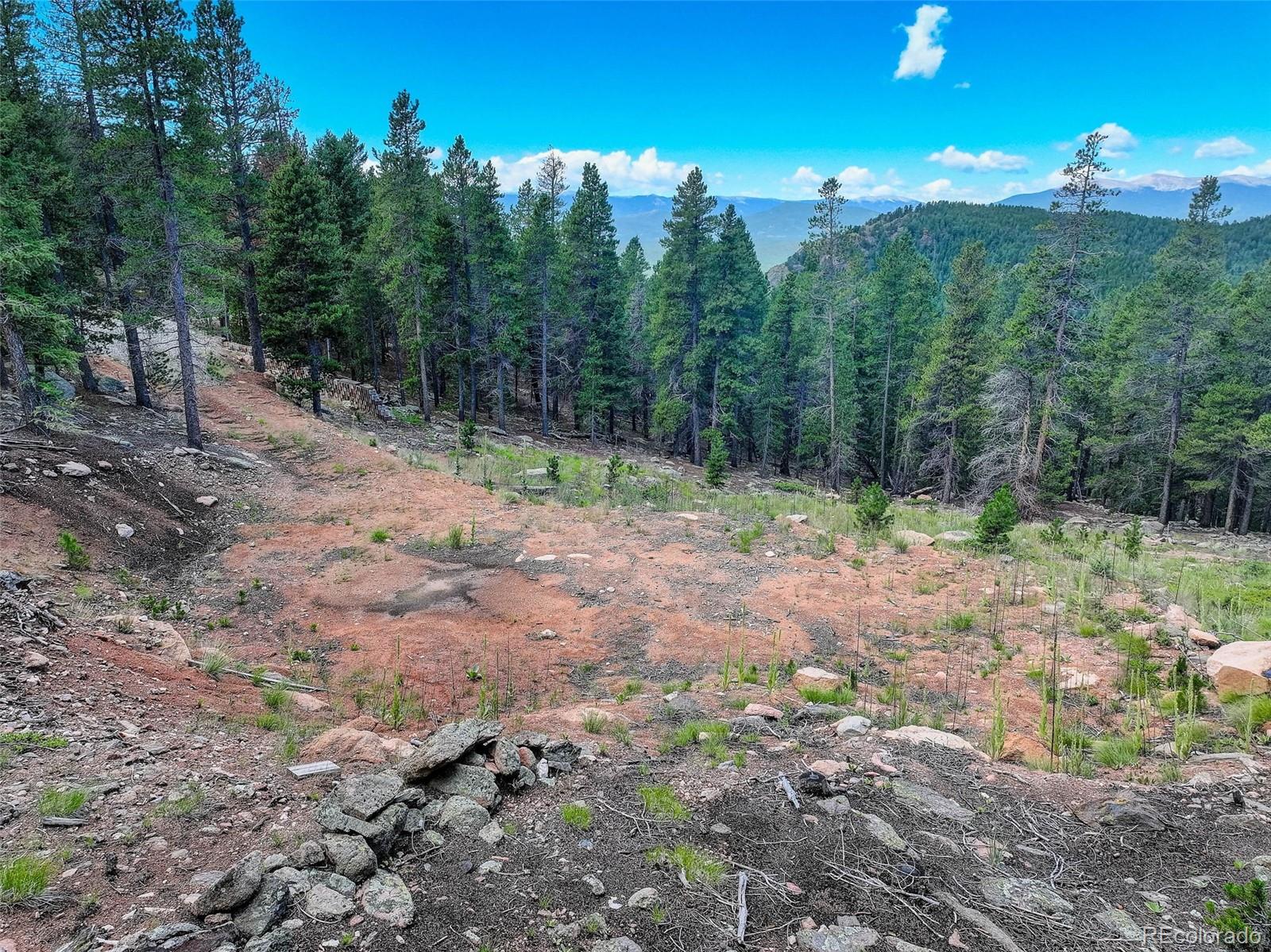 11275 Bear Run Trail Conifer CO 80433