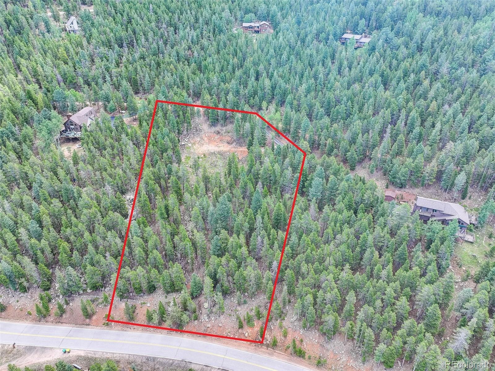 11275 Bear Run Trail Conifer CO 80433