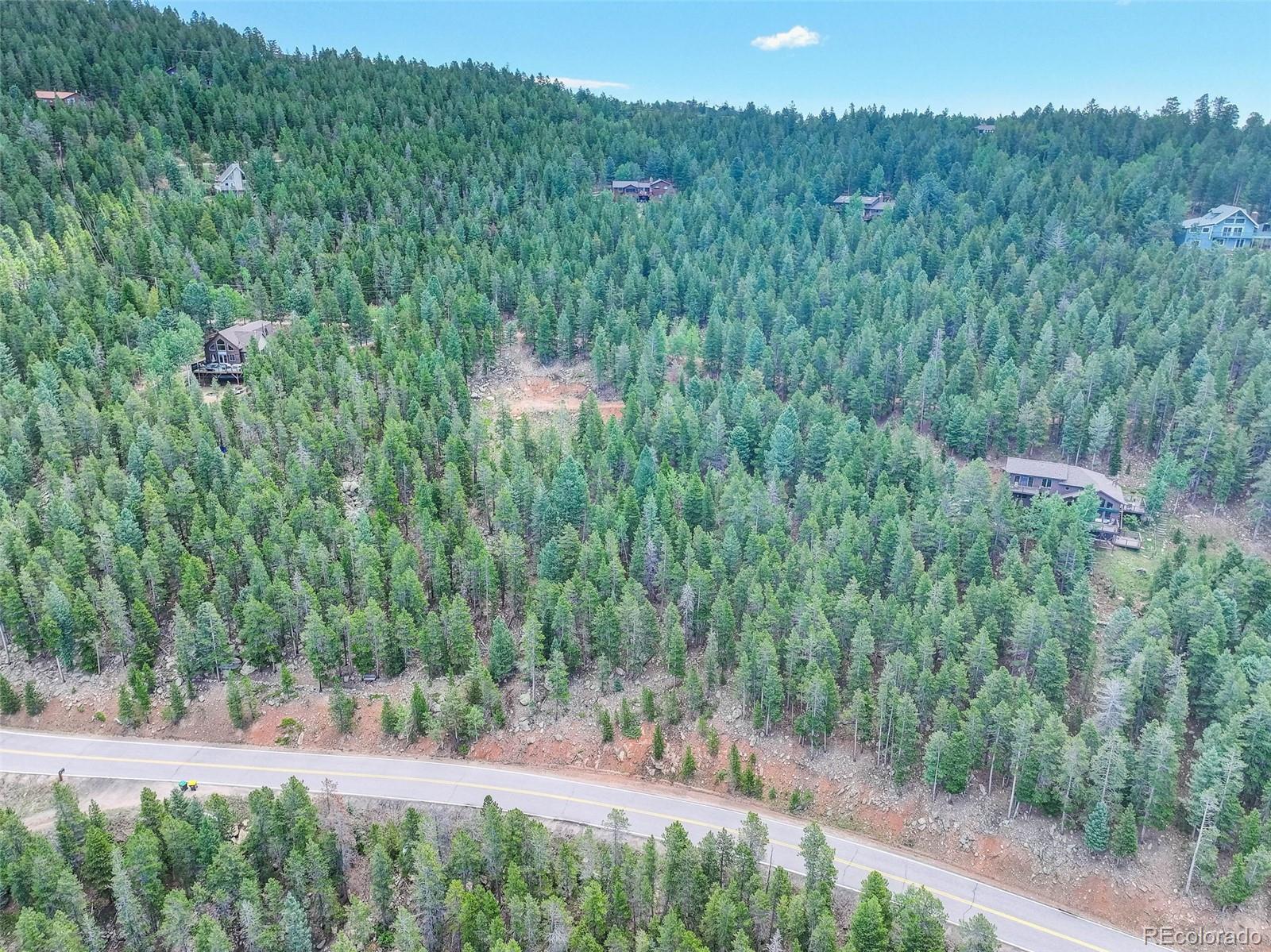 11275 Bear Run Trail Conifer CO 80433